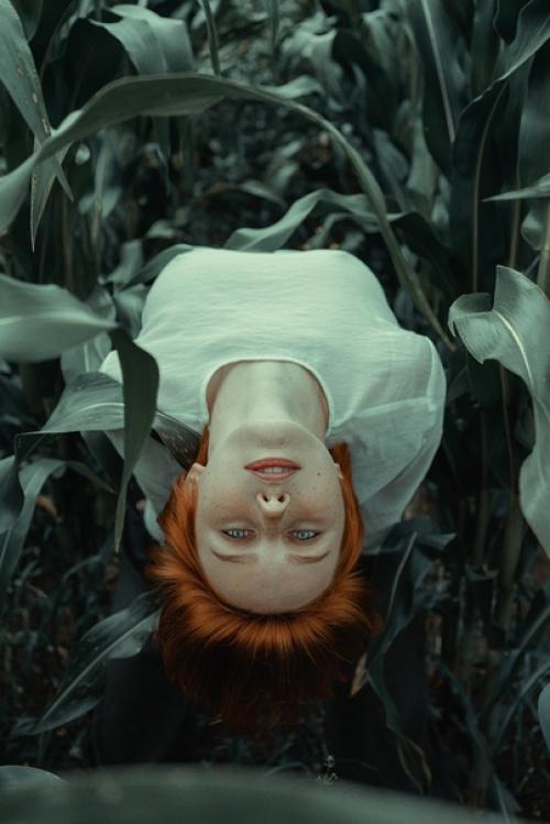 Кадры из какого фильма вам напоминает этот фотосет? 02