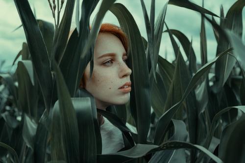 Кадры из какого фильма вам напоминает этот фотосет? 01