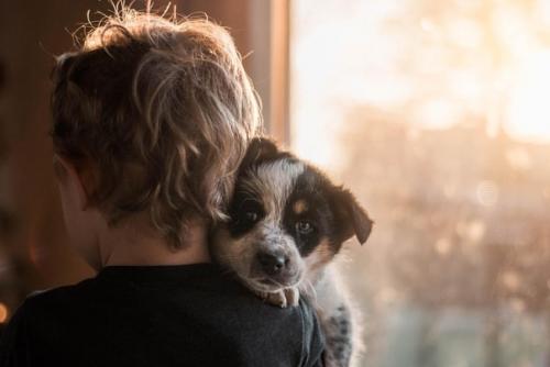 Аутентичные осенние фото вызывающие ностальгию по детству. 03