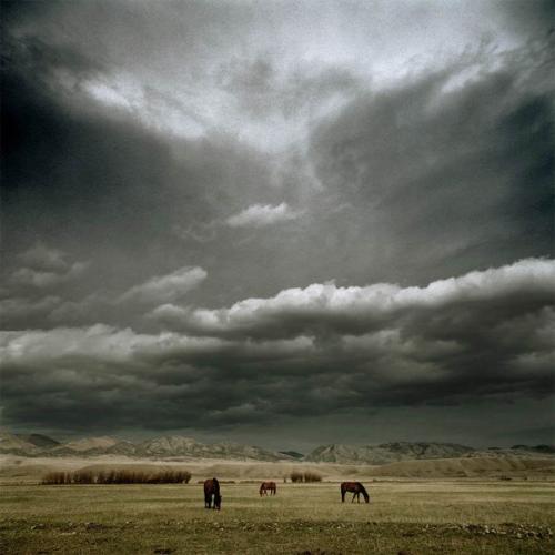 - Почему Райан Росс так похож на каждого из нас: 08 - Почему Райан Росс так похож на каждого из нас: 08