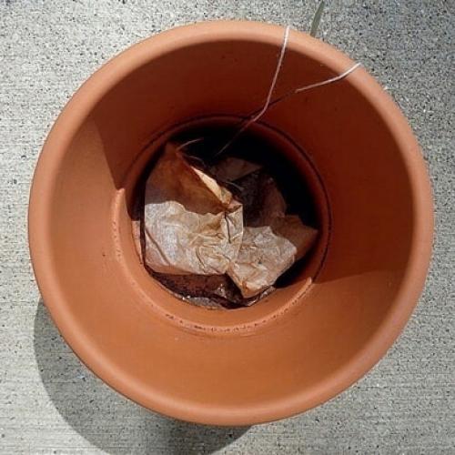 Кто пользуется этим советом, напишите в комментариях. 05