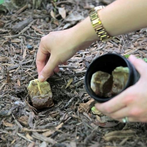 Кто пользуется этим советом, напишите в комментариях. 01