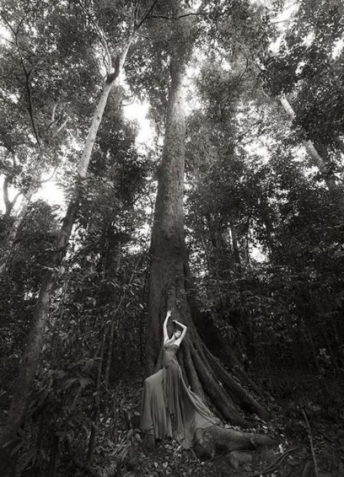 Дикая Любовь (Love is Wild) - проект фотографа Шона ли - Дэвиса и крик о помощи, в которой нуждаются дикие звери. 04