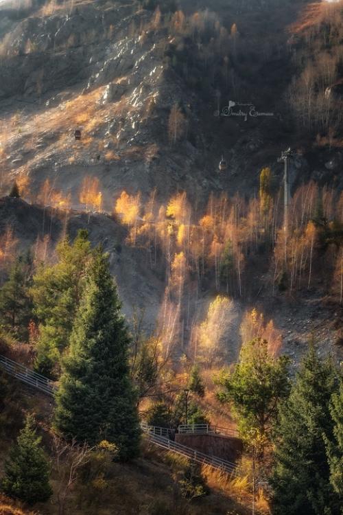 Золотом осень блистает. 04