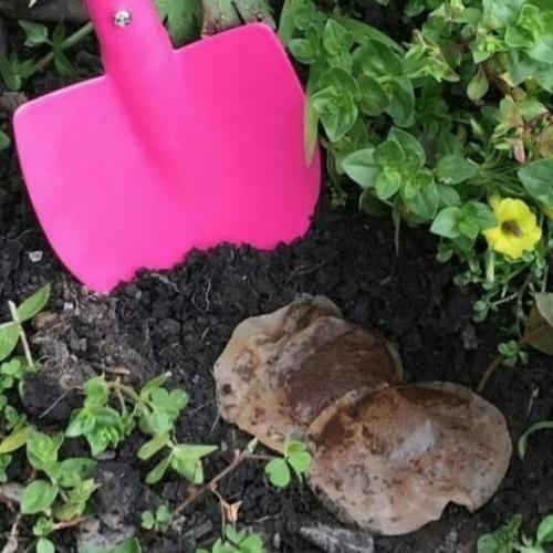 Кто пользуется этим советом, напишите в комментариях. 04