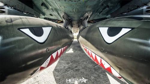 Сухой су - 22 - истребитель - бомбардировщик, выпущенный в средине 70-х годов, широко поставляемый на экспорт в различные Горячие Точки мира. 01 Сухой су - 22 - истребитель - бомбардировщик, выпущенный в средине 70-х годов, широко поставляемый на экспорт в различные Горячие Точки мира. 01