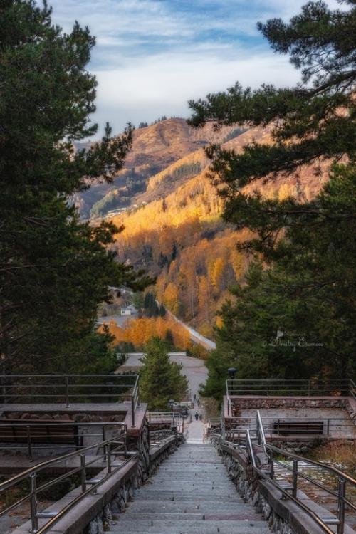 Золотом осень блистает. 08