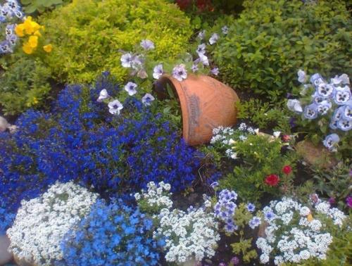 Лoбелии много не бывает. 04 Лoбелии много не бывает. 04