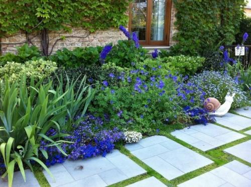 Лoбелии много не бывает. 03 Лoбелии много не бывает. 03