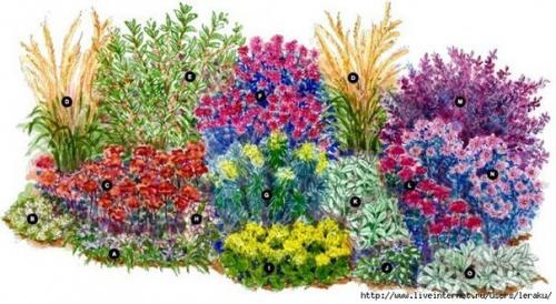 Засухоустойчивая клумба. A. 4 шт. 01