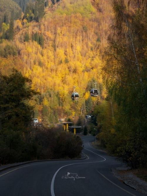Золотом осень блистает. 07