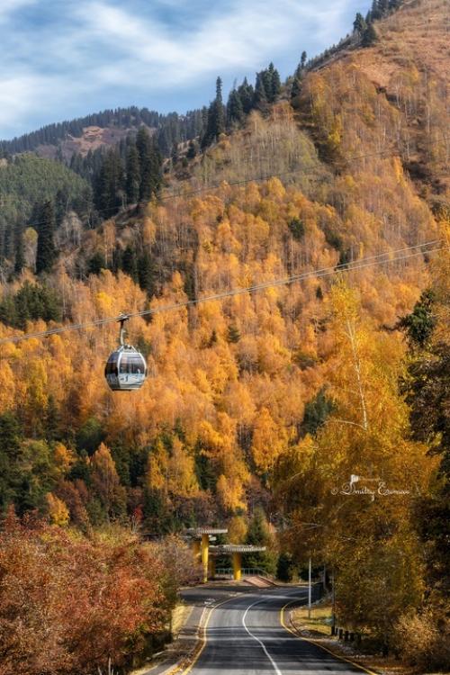 Золотом осень блистает. 05