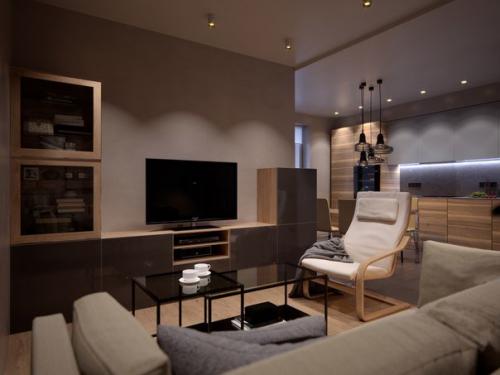 Однокомнатная квартира для молодой пары площадью 50 кв. 05