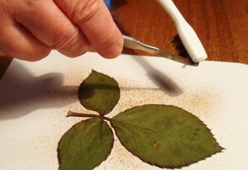 Аэрография.  Очень красиво и эффектно, впишется в любой интерьер. 02