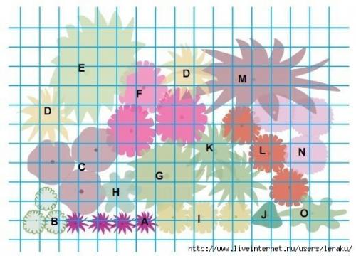 Засухоустойчивая клумба. A. 4 шт. 02