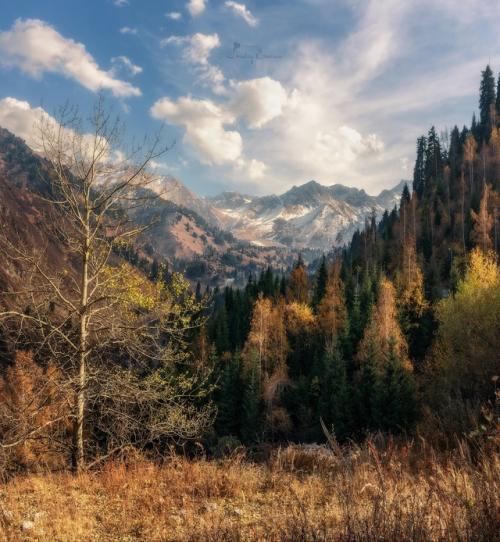 Золотом осень блистает. 03