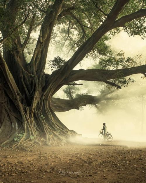 Коллажи или фото? 02