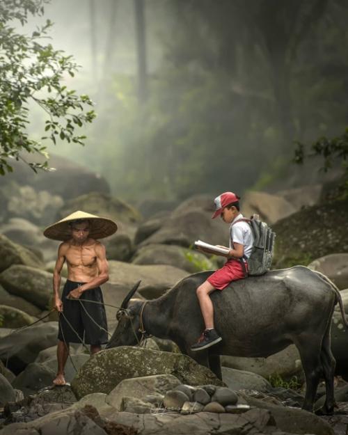 Коллажи или фото? 04