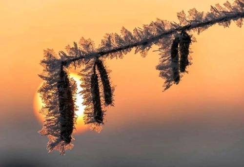 Фрагменты зимы в вдохновляющей серии фотографа Ann - Kartin Schiweck. 02