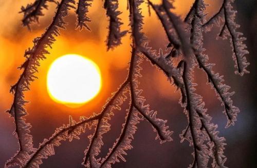 Фрагменты зимы в вдохновляющей серии фотографа Ann - Kartin Schiweck. 04