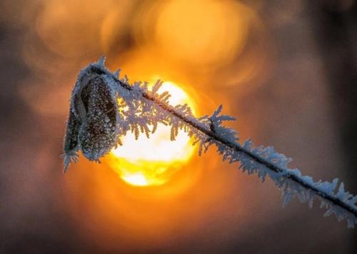 Фрагменты зимы в вдохновляющей серии фотографа Ann - Kartin Schiweck. 07