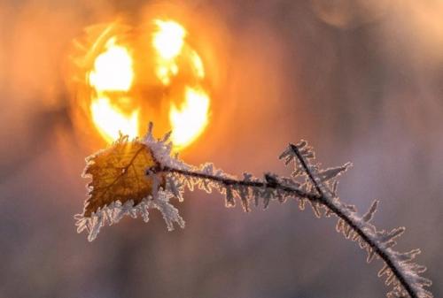 Фрагменты зимы в вдохновляющей серии фотографа Ann - Kartin Schiweck. 05
