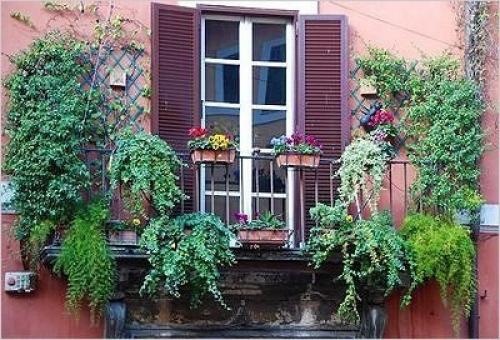 Озеленение балкона, лоджии, террасы. 02 Озеленение балкона, лоджии, террасы. 02