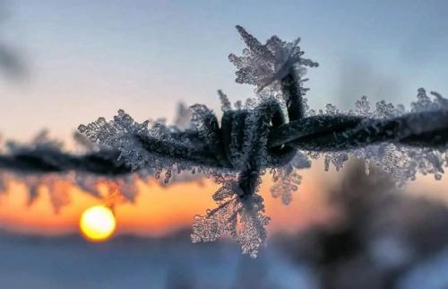 Фрагменты зимы в вдохновляющей серии фотографа Ann - Kartin Schiweck. 03