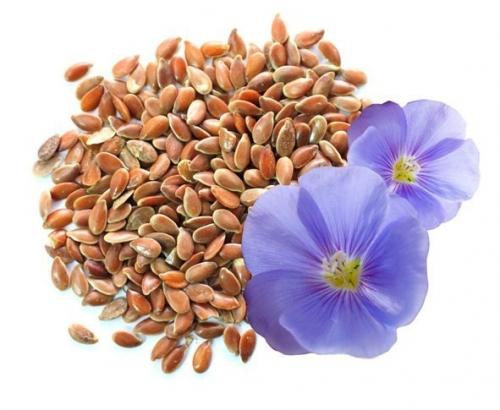 11 лучших продуктов, чтобы очистить организм. 08