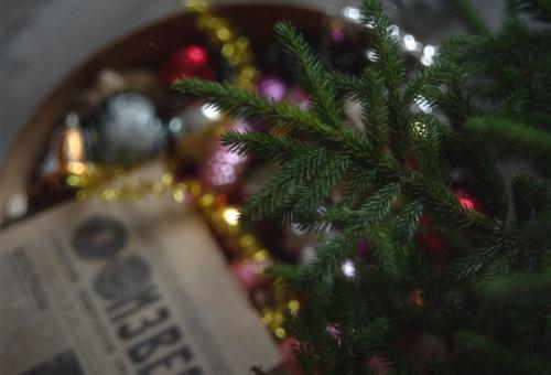 Прекрасная серия ностальгических снимков с ароматом нового года. 07