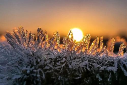 Фрагменты зимы в вдохновляющей серии фотографа Ann - Kartin Schiweck. 06