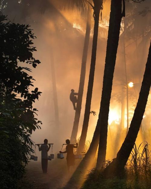 Коллажи или фото? 05