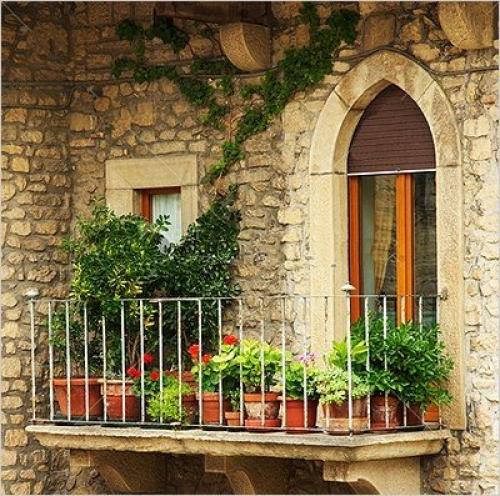 Озеленение балкона, лоджии, террасы. 01 Озеленение балкона, лоджии, террасы. 01