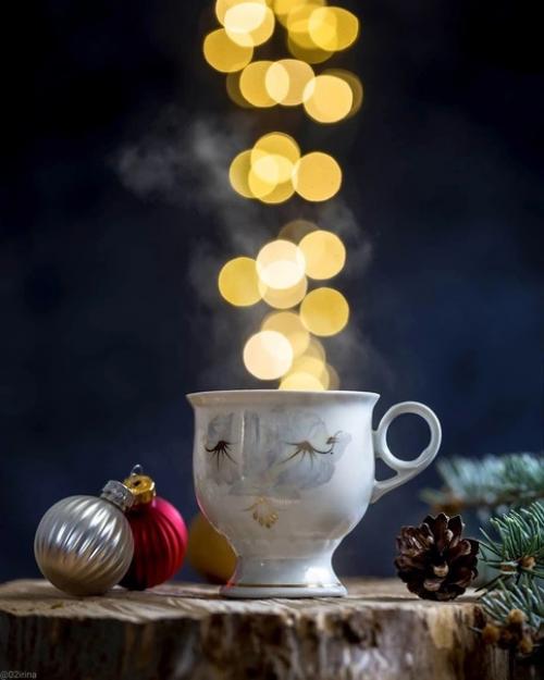 Аппетитные новогодние натюрморты от фотографа Ирины толокновской. 08