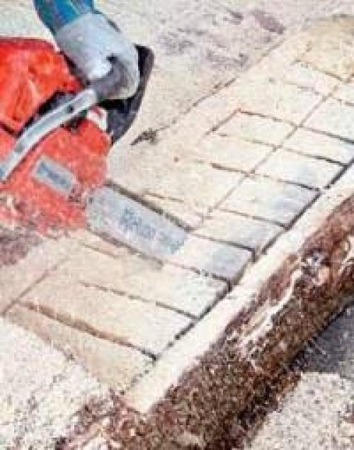 Как сделать цветущее бревно. 02