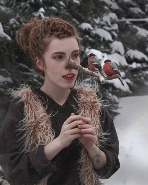 Трансформации и метаморфозы. 01