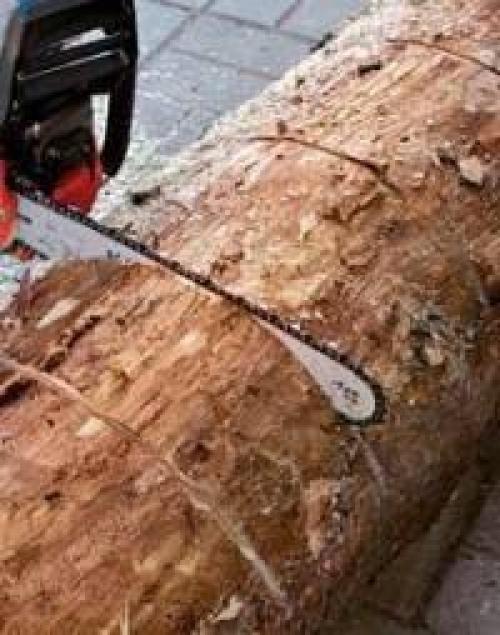 Как сделать цветущее бревно. 01