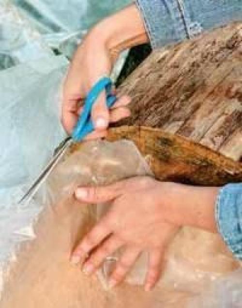 Как сделать цветущее бревно. 03