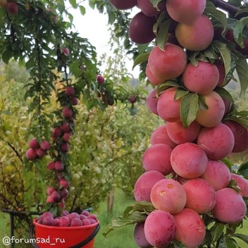 Она лучшая из лучших! 02 Она лучшая из лучших! 02