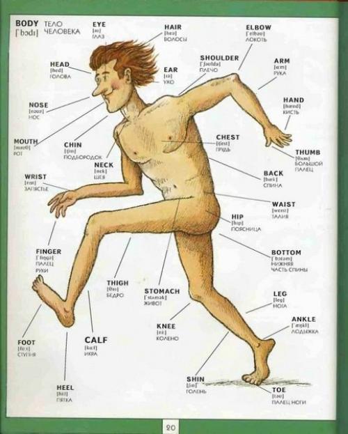 Полезная визуальная лексика. 09