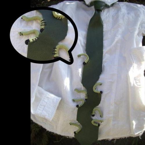 Для любителей насекомых. 04