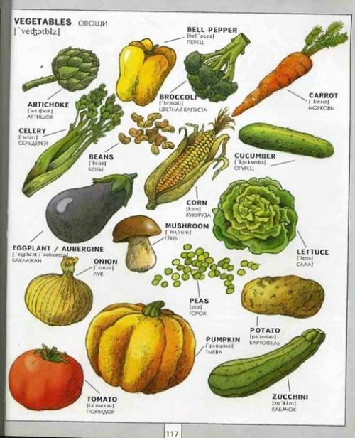 Полезная визуальная лексика. 08