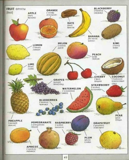 Полезная визуальная лексика. 05
