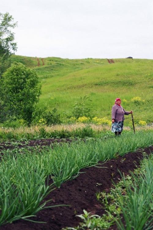Не тронутая глобализацией аутентичность русской деревни. 03