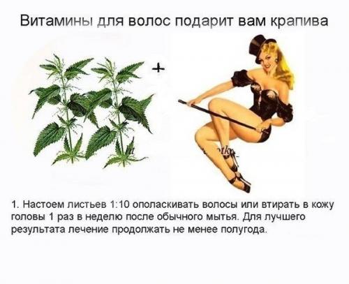 Рецепты красоты для волос. 03