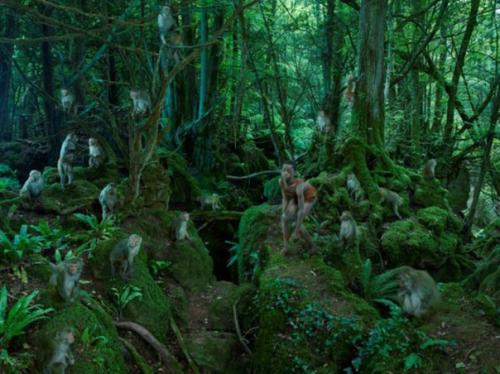 Основано на реальных событиях: серия фотографий, в которой воссозданы истории про одичалых детей. 05