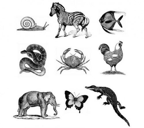 ? 10. Мощнейших упражнений для тренировки памяти? 04 ? 10. Мощнейших упражнений для тренировки памяти? 04