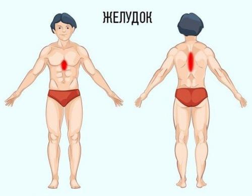 Полезный совет - как определить причину боли по месту ее локализации. 03