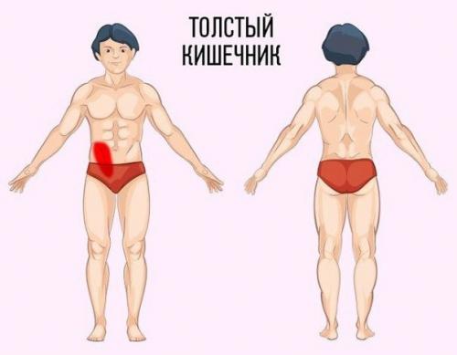 Полезный совет - как определить причину боли по месту ее локализации. 02