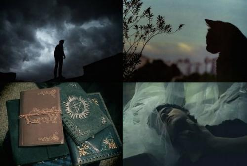 Композиционное вдохновение для фотографа. 06